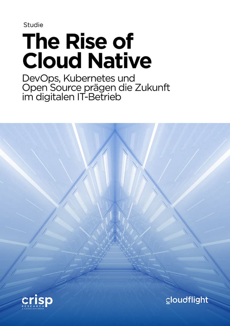 The Rise of Cloud Native