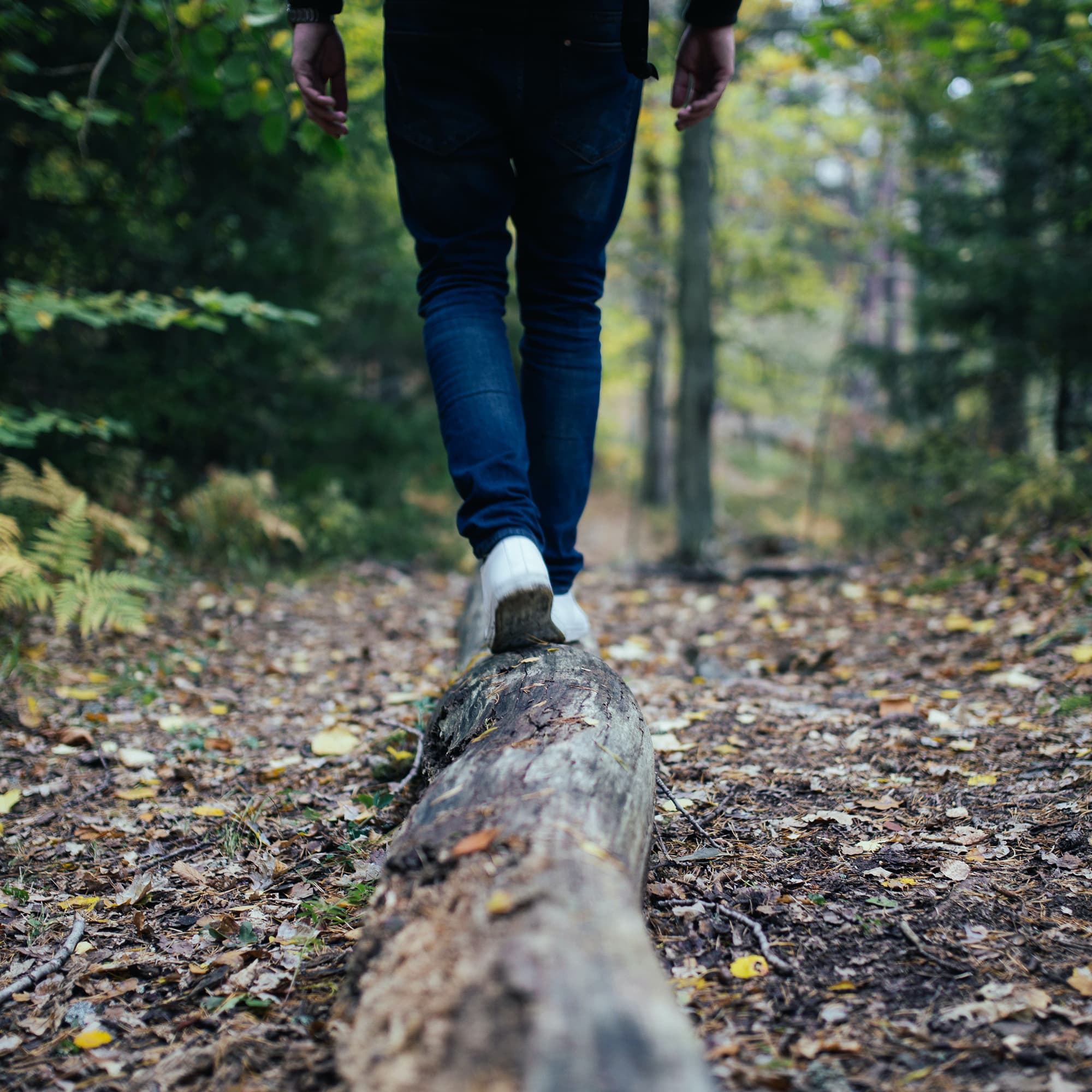 Preventing chronic illness through software