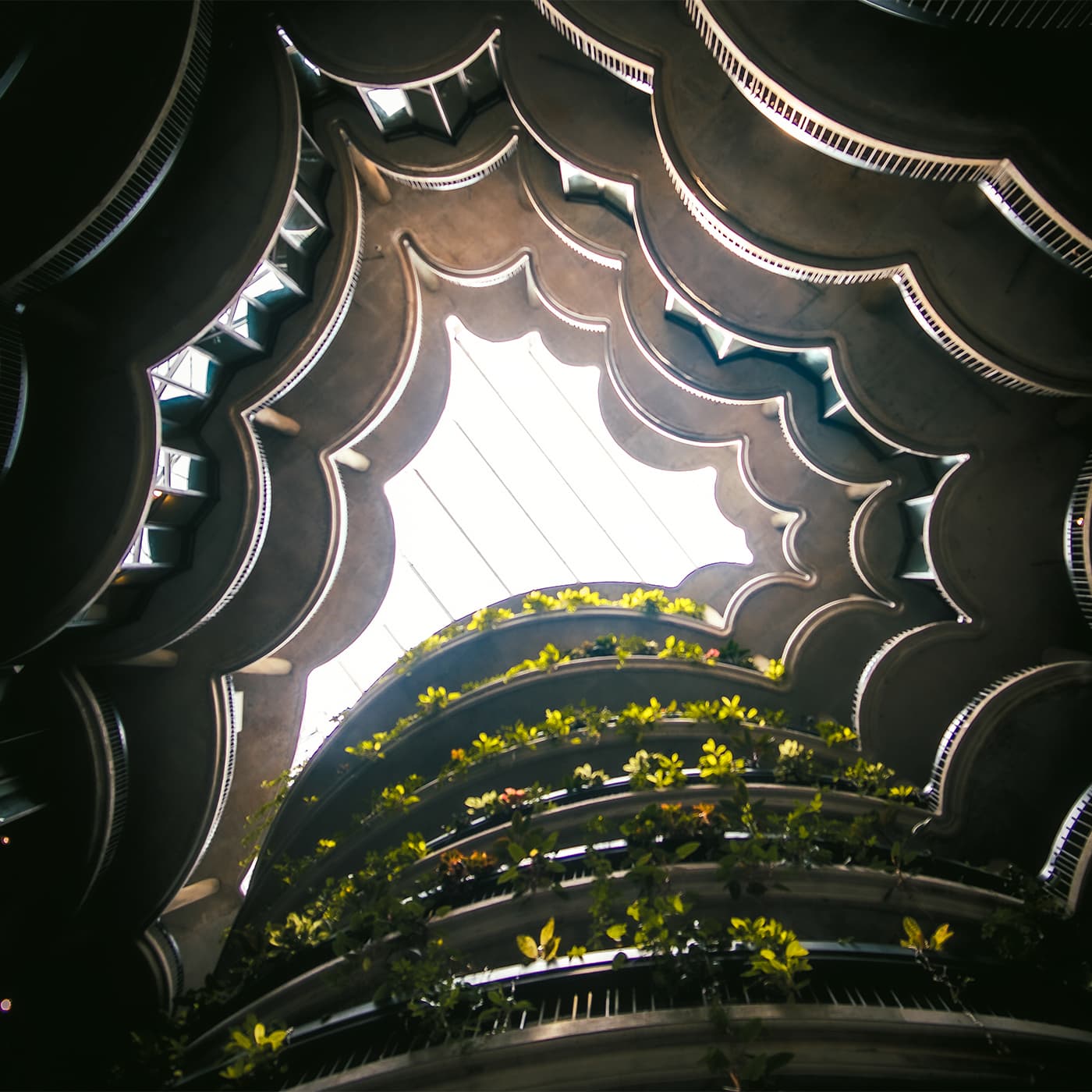 Nanyang University